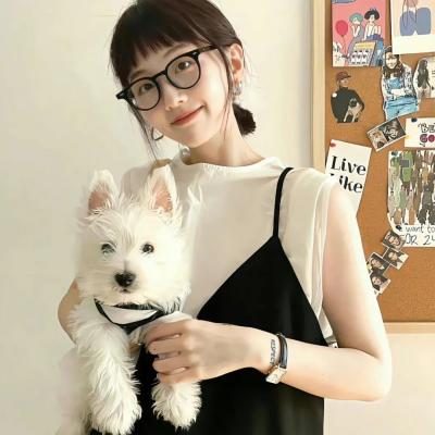 狮神决战之终极一战